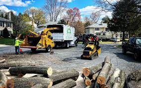 Best Lawn Mowing  in Fairlea, WV