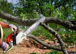Best Lawn Maintenance Plans  in Fairlea, WV